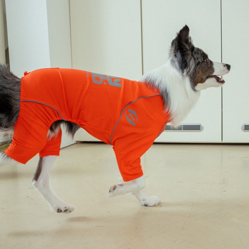 Essential Training Suit (Standard Leg) - Pet Cooling Jumpsuit