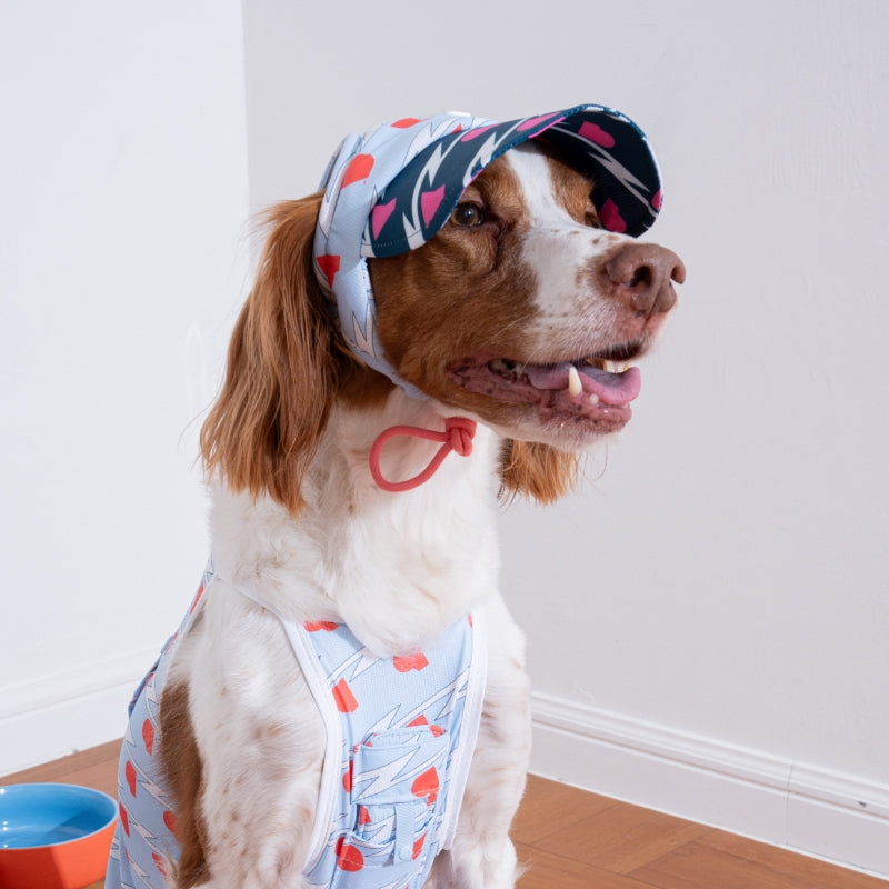 Lightning Dog Sun Cap