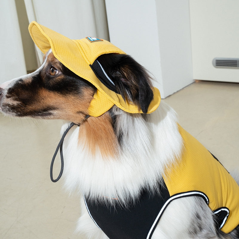 Clay Cooling Dog Hat