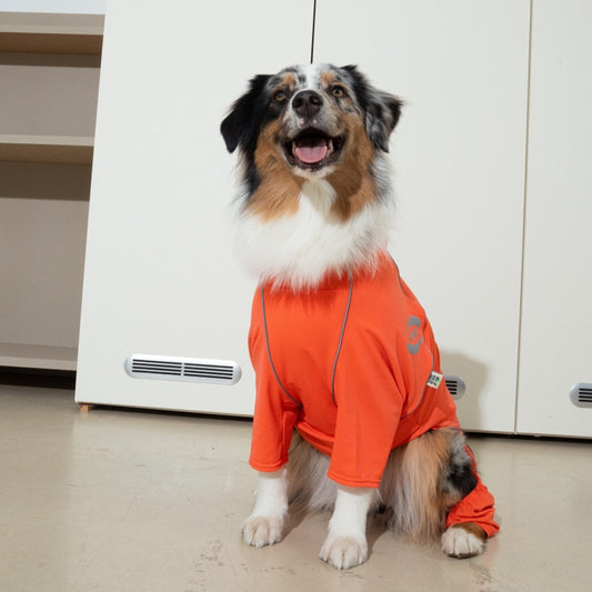 Essential Training Suit (Standard Leg) - Pet Cooling Jumpsuit