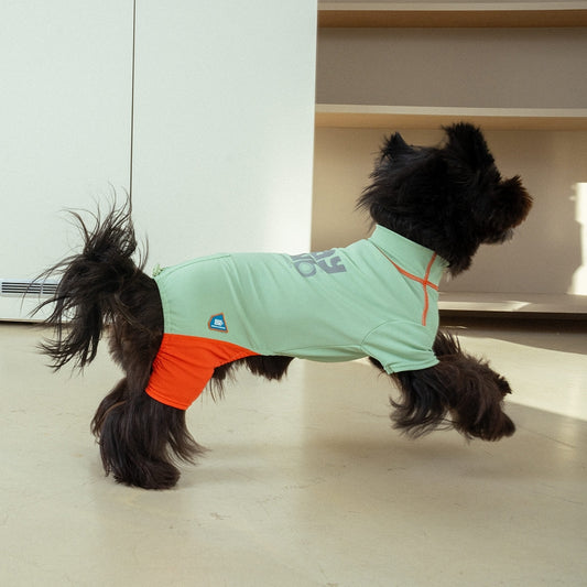 Essential Training Suit (Short Leg) - Pet Cooling Jumpsuit