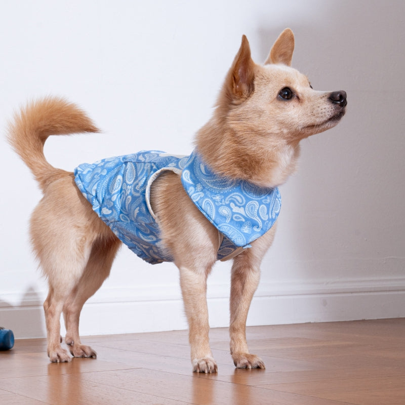 Paisley Lover Pet Cooling Bandana