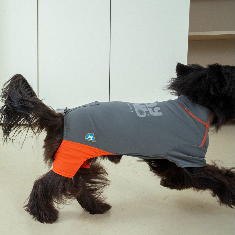 Essential Training Suit (Short Leg) - Pet Cooling Jumpsuit