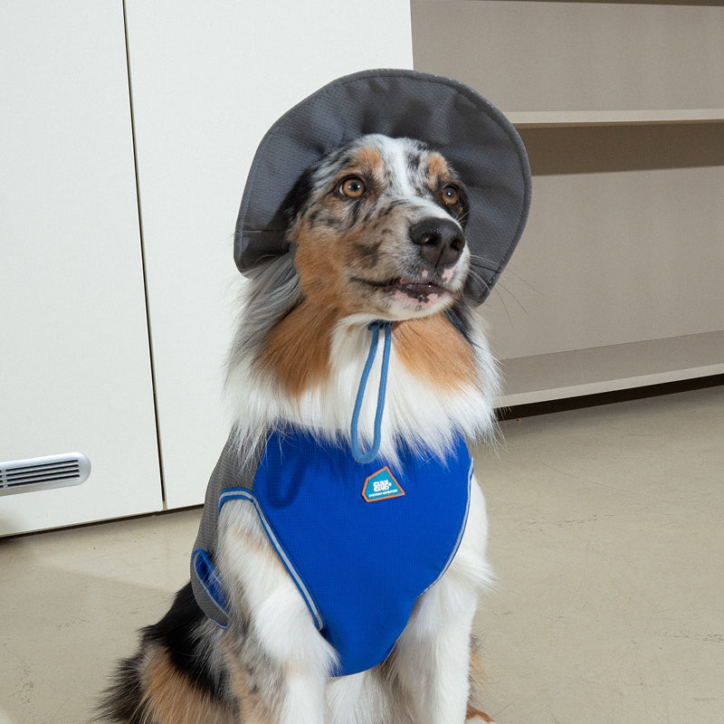 Clay Cooling Dog Hat