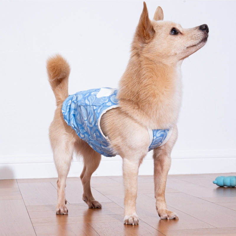 Paisley Lover Pet Cooling Tank Top