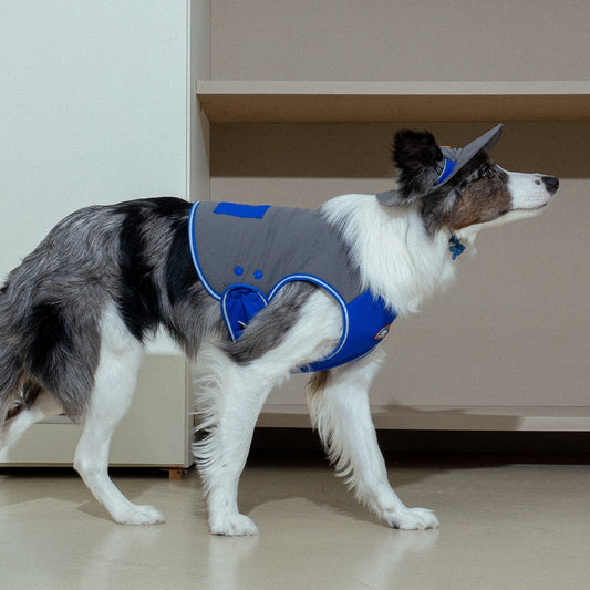 Clay Cooling Vest - Pet Cooling Vest