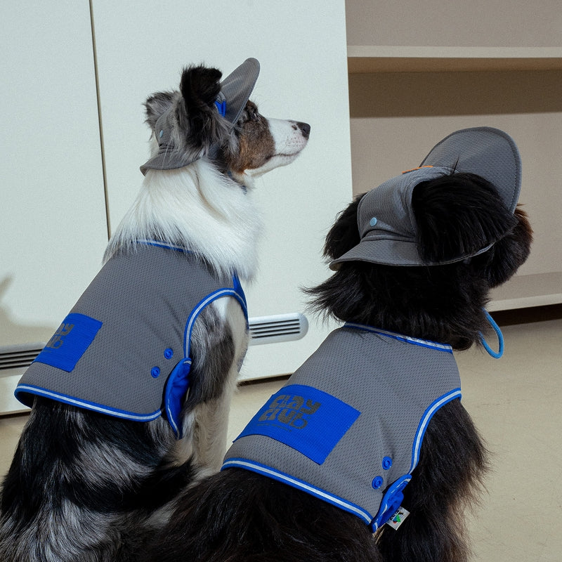Clay Cooling Dog Hat