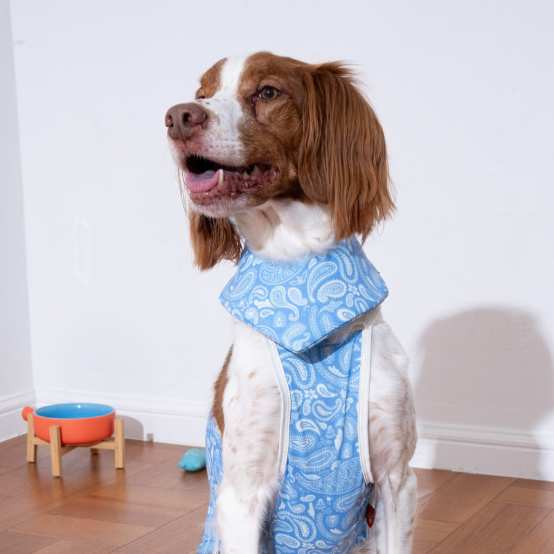 Paisley Lover Pet Cooling Bandana