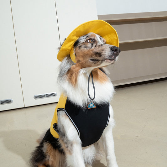 Clay Cooling Dog Hat