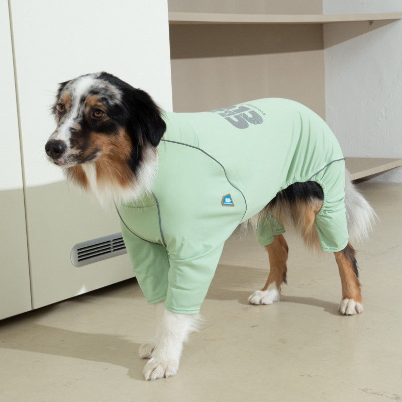Essential Training Suit (Standard Leg) - Pet Cooling Jumpsuit
