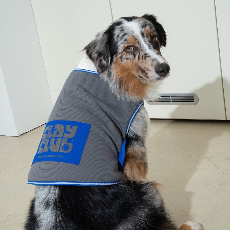 Clay Cooling Vest - Pet Cooling Vest