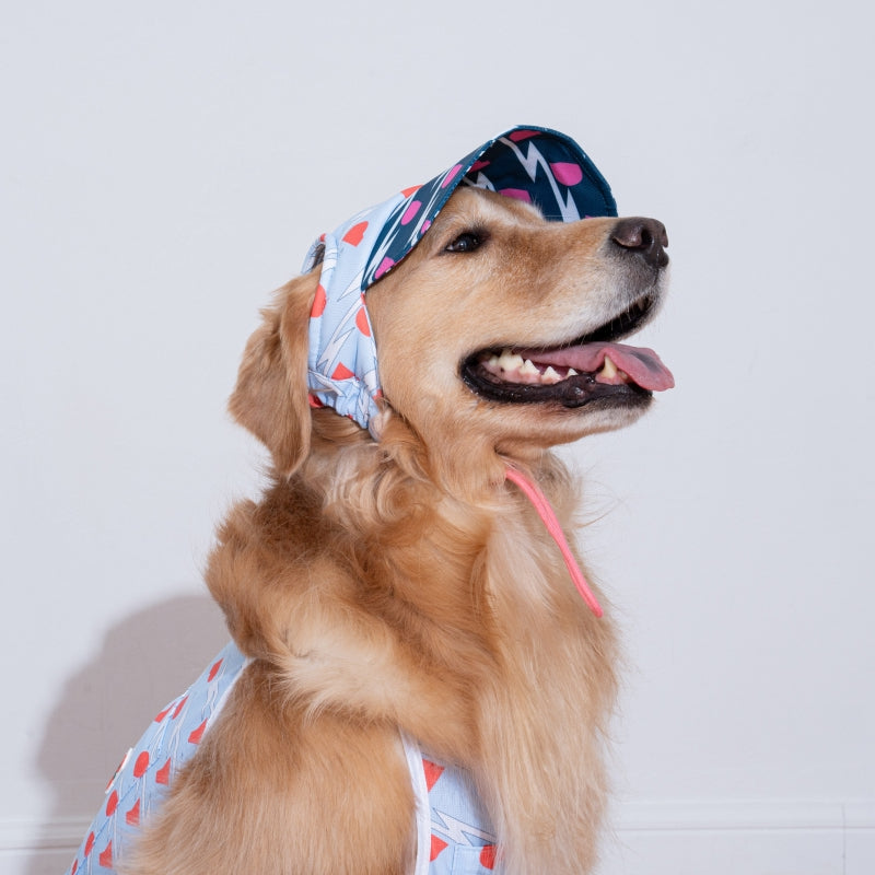 Lightning Dog Sun Cap