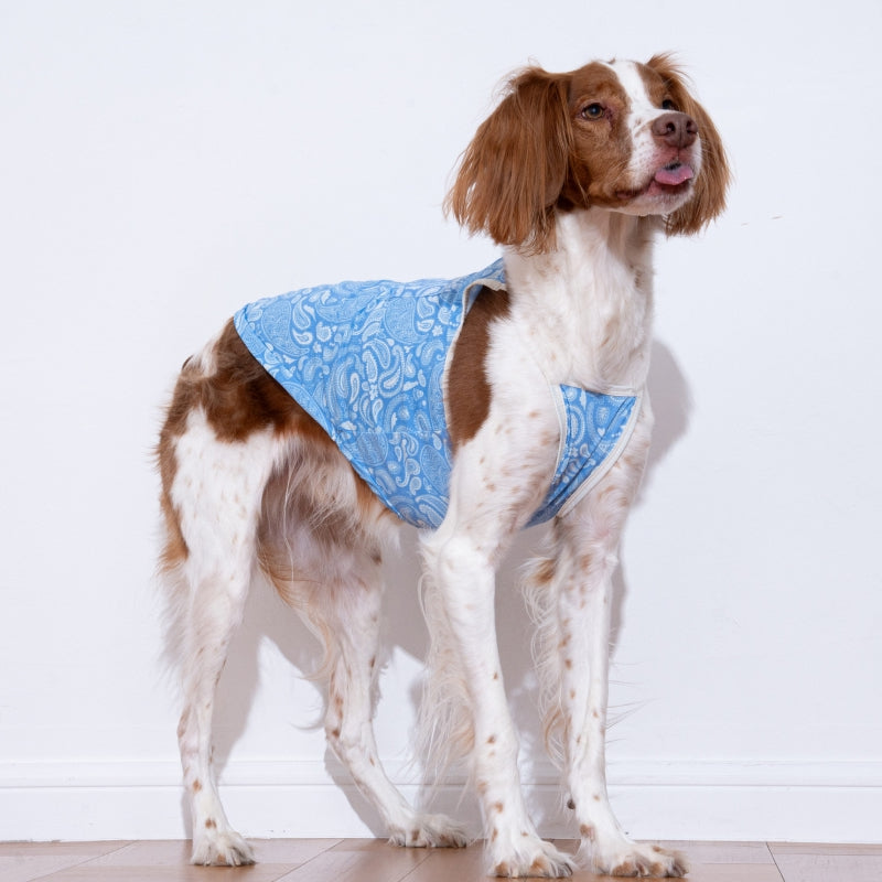 Paisley Lover Pet Cooling Tank Top