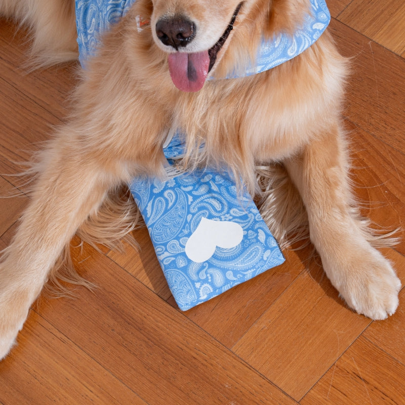 Paisley Lover Ice Pack Pouch - Pet Stroller/Carrier cooling pad