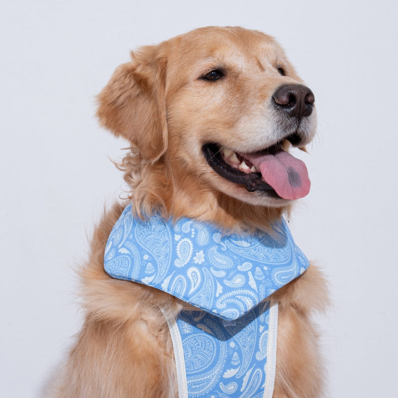 Paisley Lover Pet Cooling Bandana