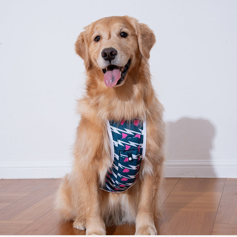 Lightning Cool Pet Tank Top
