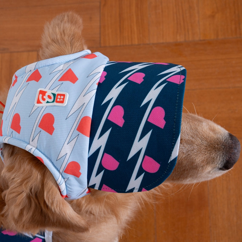 Lightning Dog Sun Cap