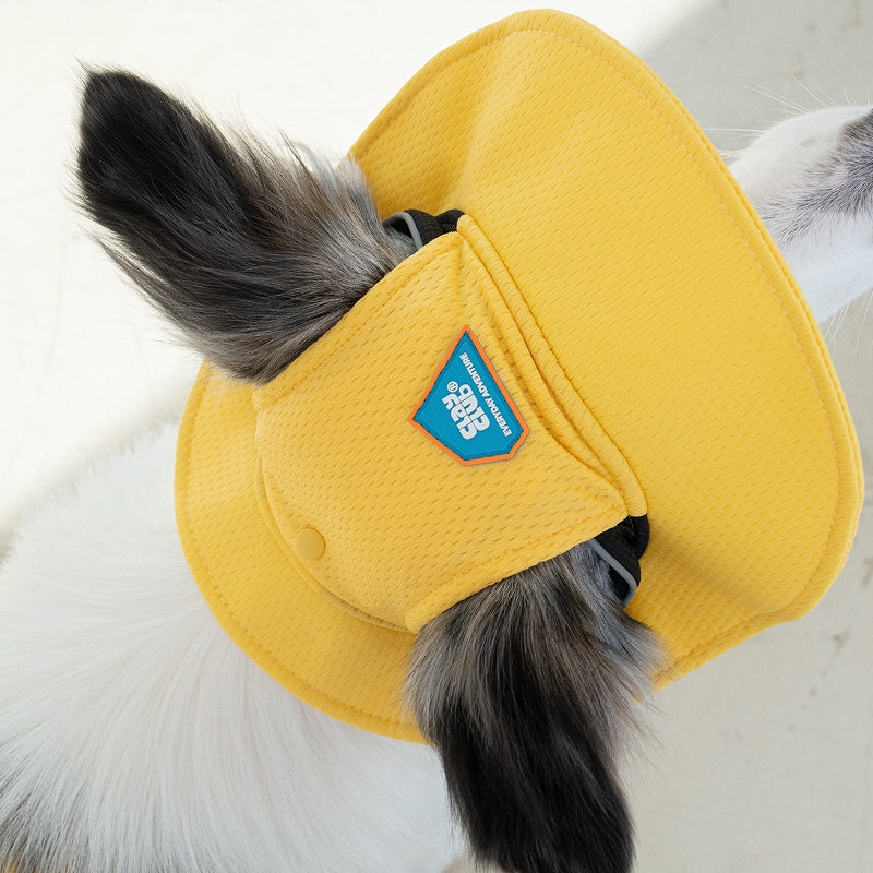 Clay Cooling Dog Hat