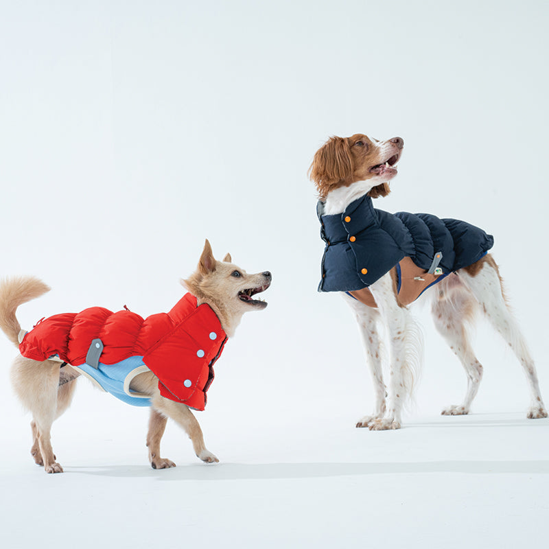 Heat Boost 2 in 1 padding - Pet Winter Jacket