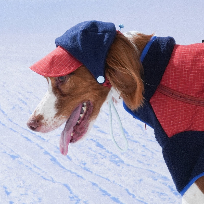 Ear Cover Fleece Hat