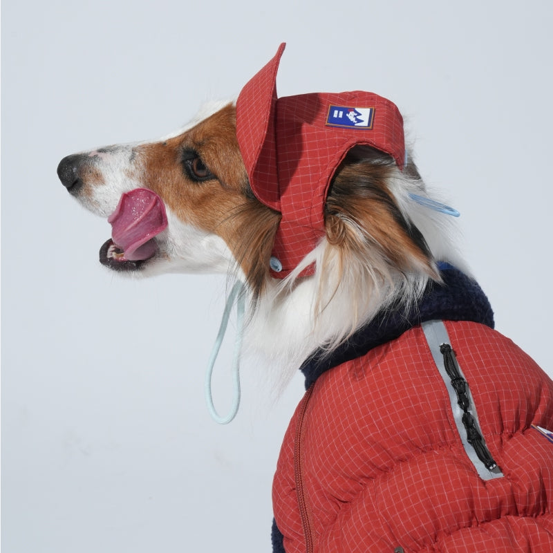 Ear Cover Fleece Hat