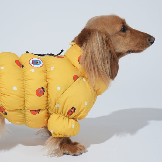 Kiki Cloud All-in-one Padding