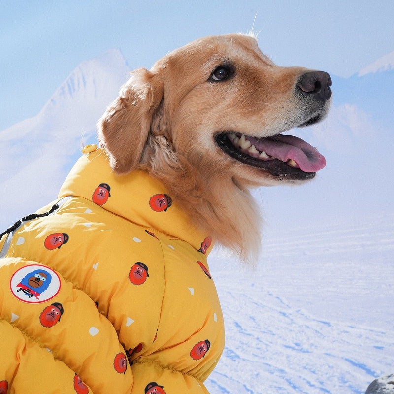 Kiki Cloud All-in-one Padding