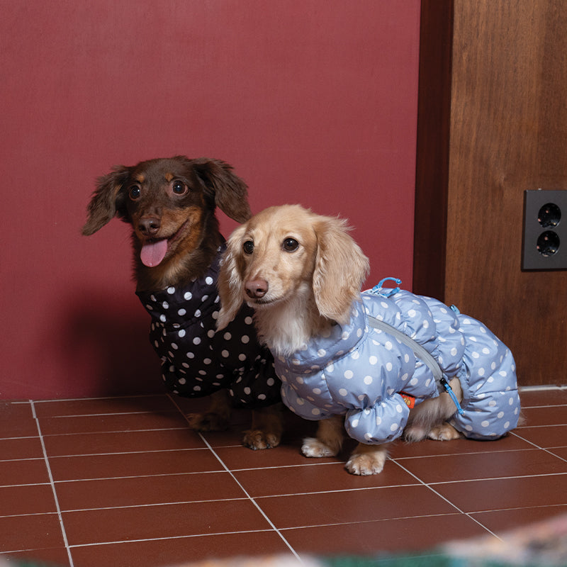 Retro Dot All-in-one Padding - Pet Winter Jacket