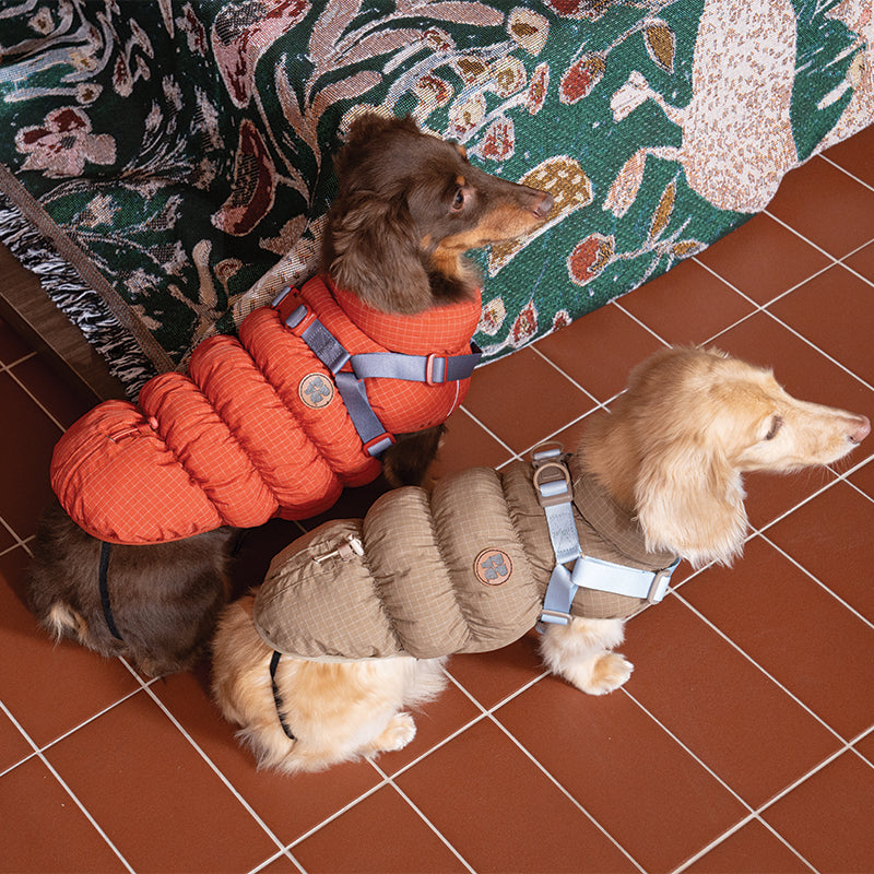 EasyWalk Cloud Padding - Pet Winter Vest with Harness