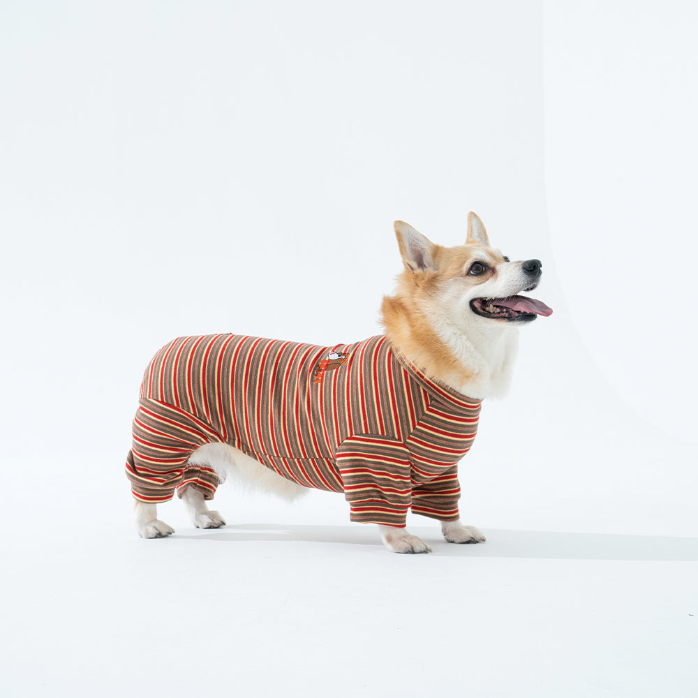 Homeground Stripe All-in-one - Dog Pajama