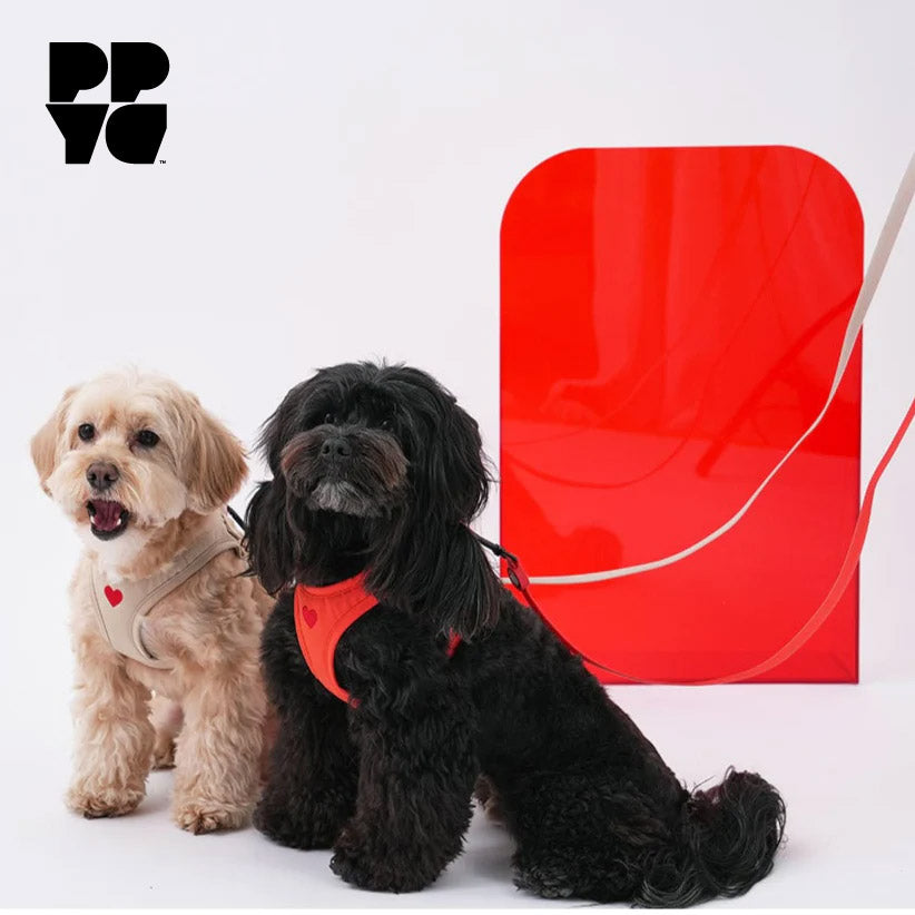 PPYG Weatherproof Dog Lead