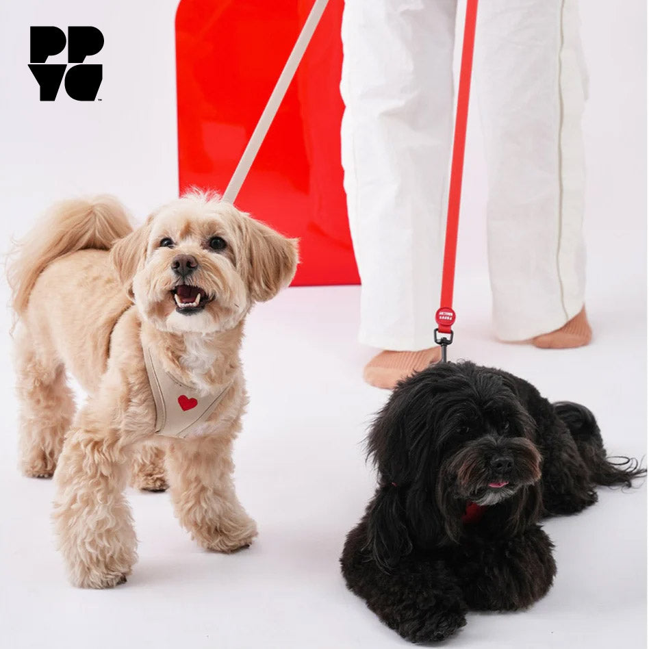 PPYG Weatherproof Dog Lead