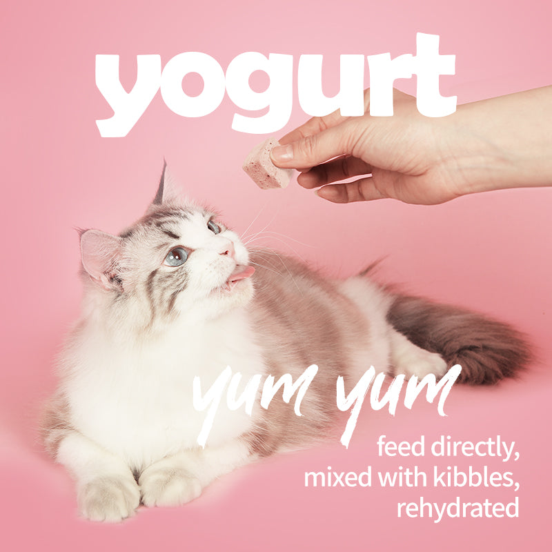 Freeze-Dried Yogurt Mixed Flavor - Dog & Cat Treats