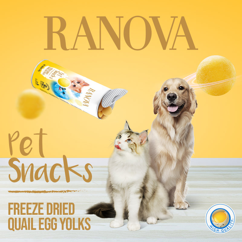Freeze-Dried Quail Egg Yolk - Dog & Cat Treats