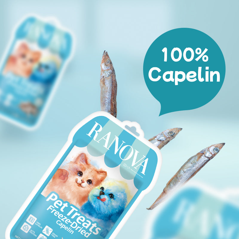 Freeze-Dried Capelin - Dog & Cat Treats