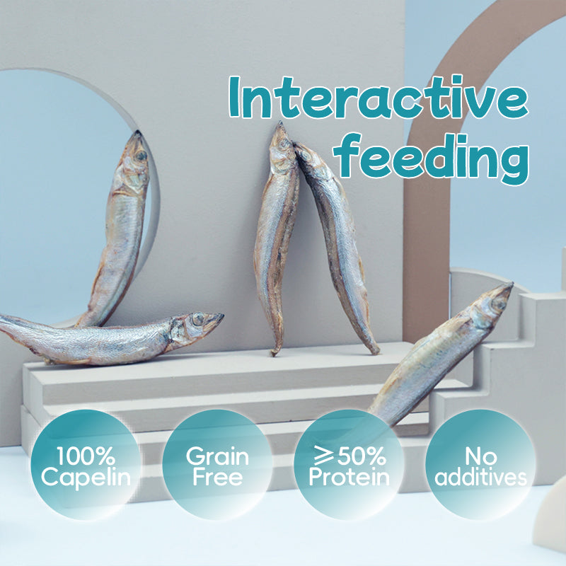 Freeze-Dried Capelin - Dog & Cat Treats