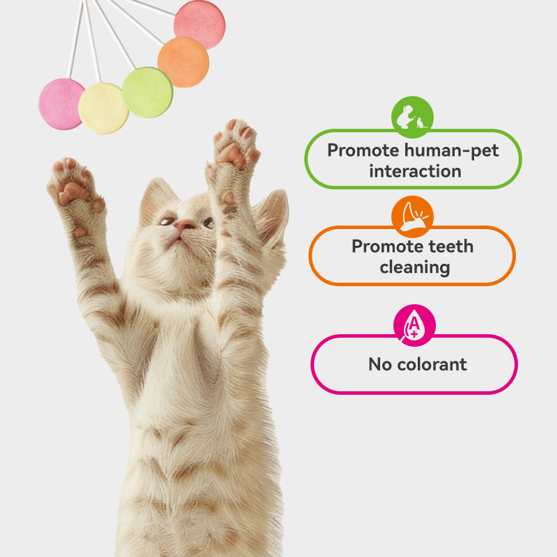 Freeze-Dried Lollipop Variety Flavor - Cat Treats