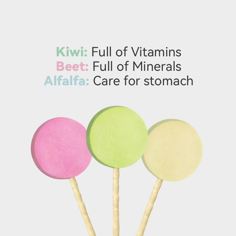 Freeze-Dried Lollipop Variety Flavor - Dog Treats