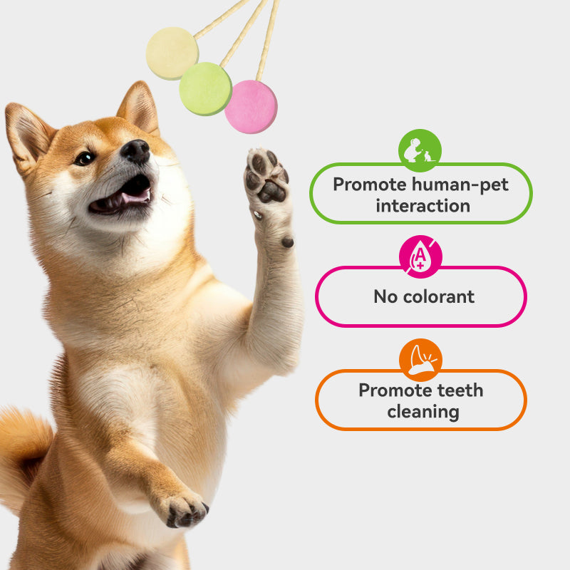 Freeze-Dried Lollipop Variety Flavor - Dog Treats