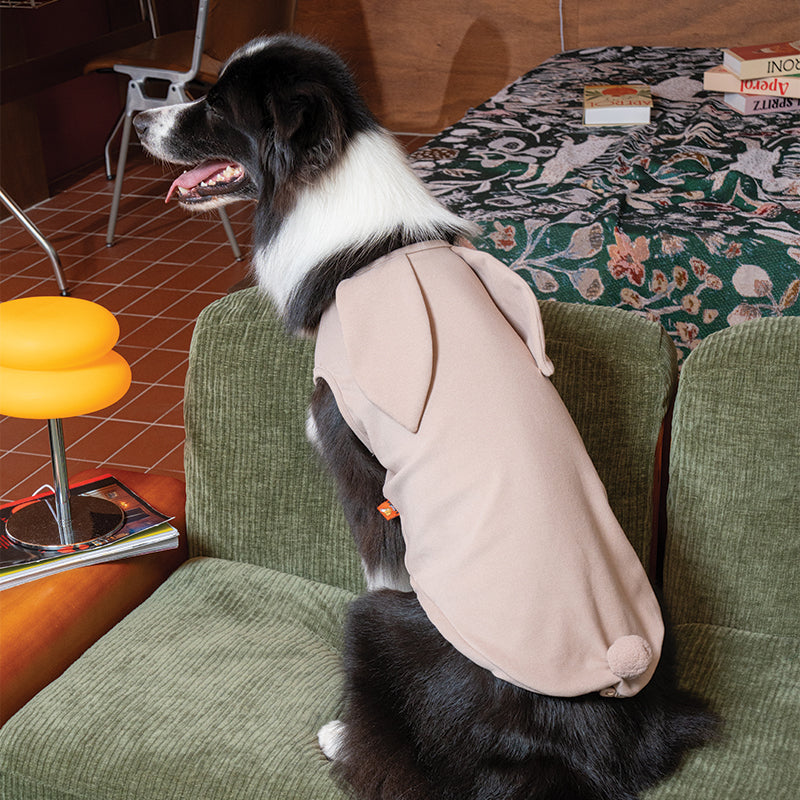 Cozy Bunny Top - Dog Fashion