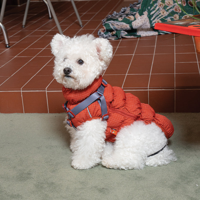 EasyWalk Cloud Padding - Pet Winter Vest with Harness