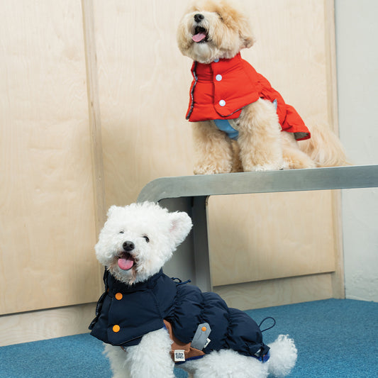 Heat Boost 2 in 1 padding - Pet Winter Jacket