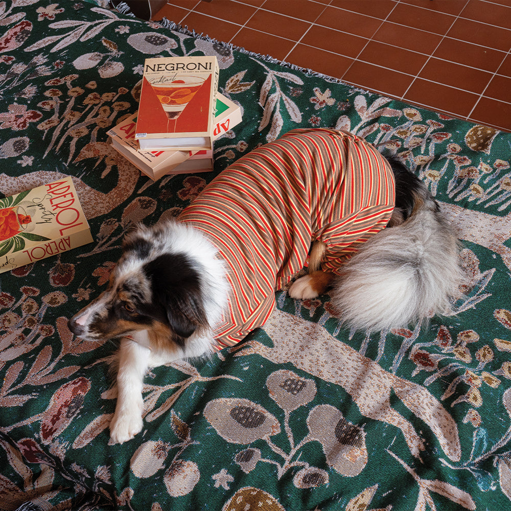 Homeground Stripe All-in-one - Dog Pajama