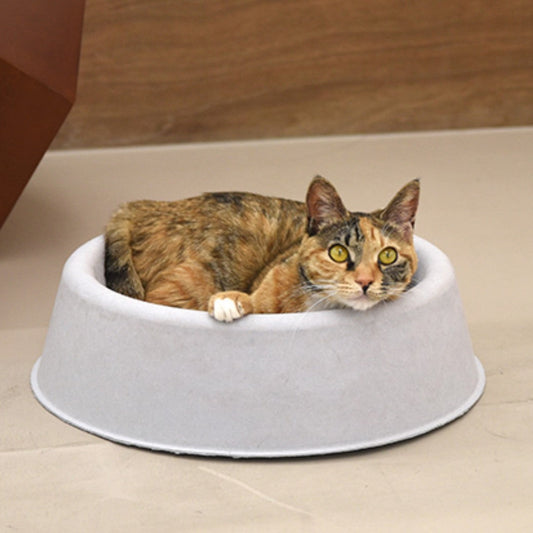 Cozy on Mat