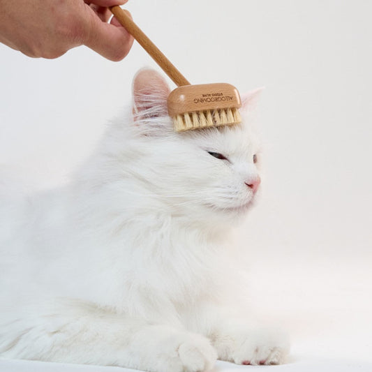 Allo Grooming Wood Brush