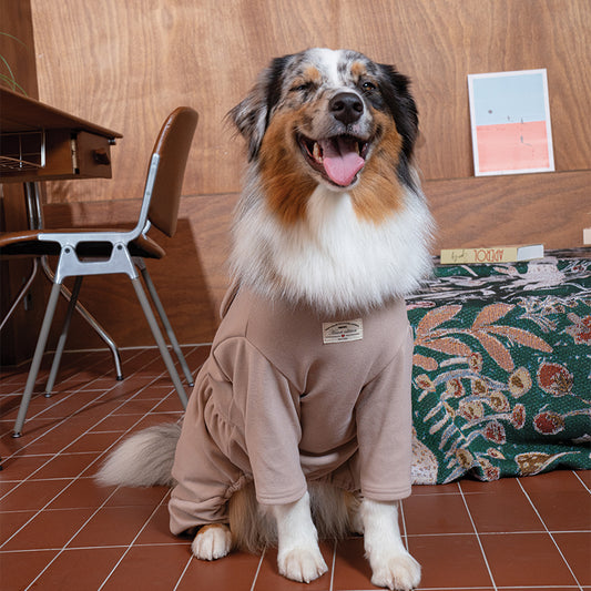 Cozy Bunny All-in-one - Dog Fashion
