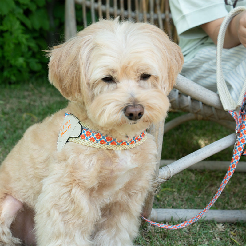 Retro flower V harness (Beige)