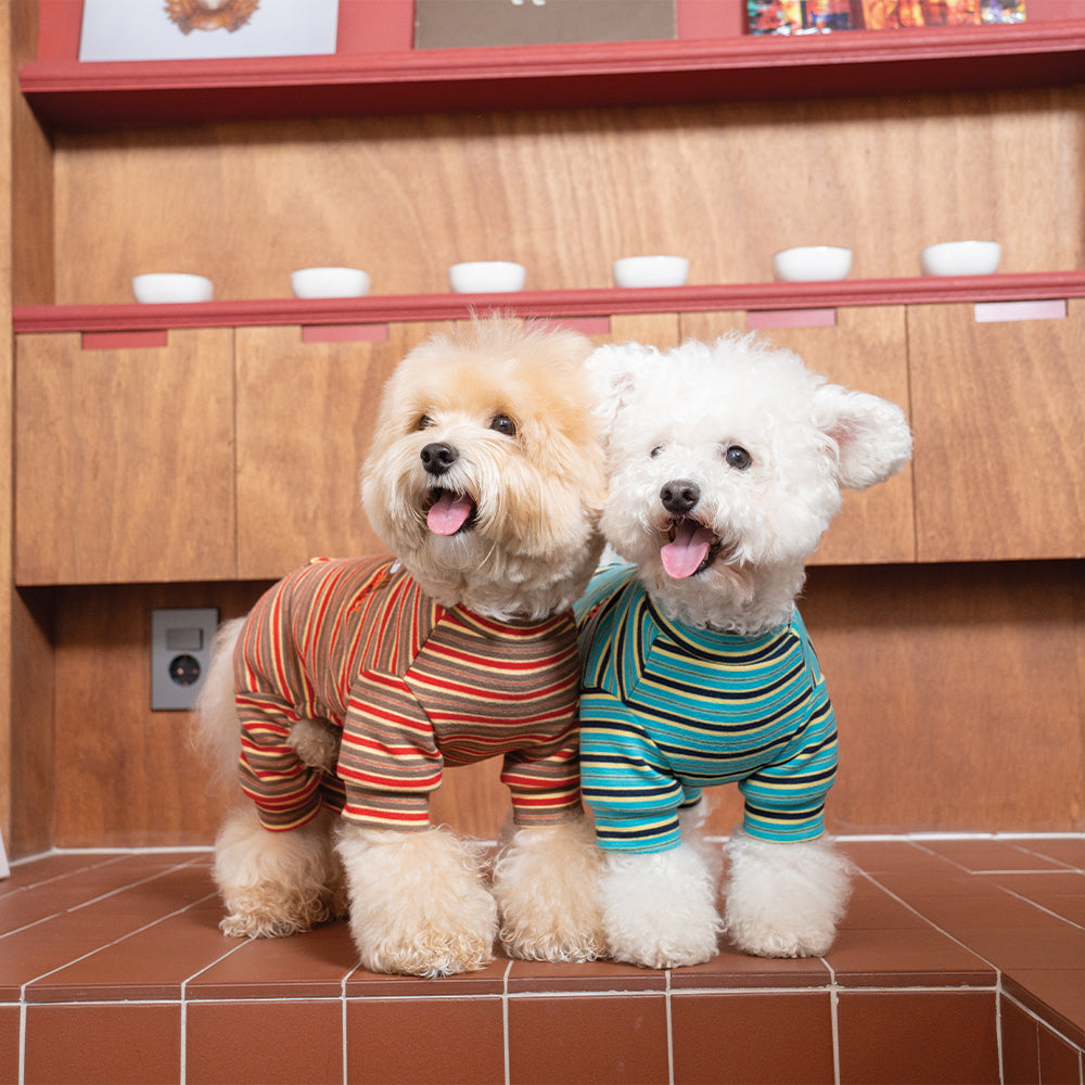 Homeground Stripe All-in-one - Dog Pajama