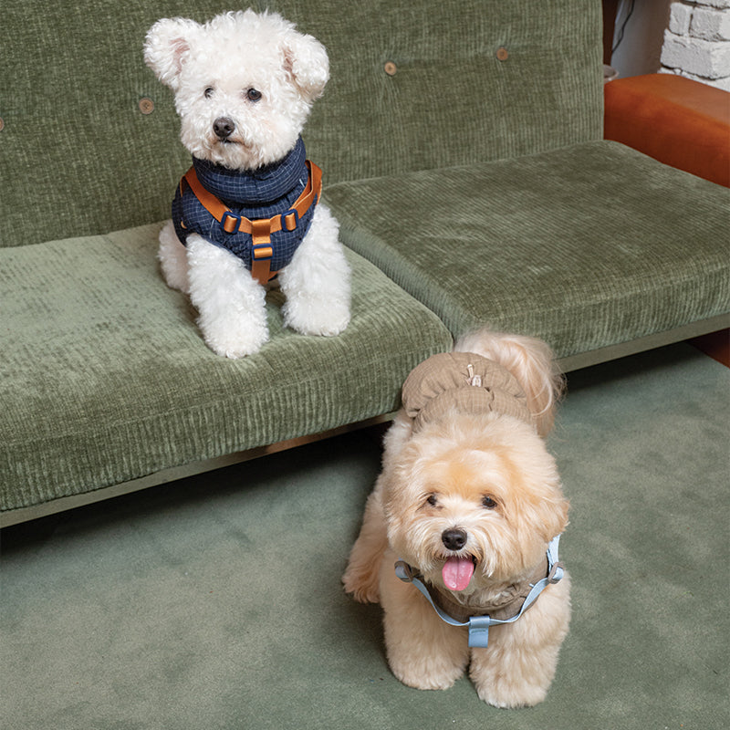 EasyWalk Cloud Padding - Pet Winter Vest with Harness