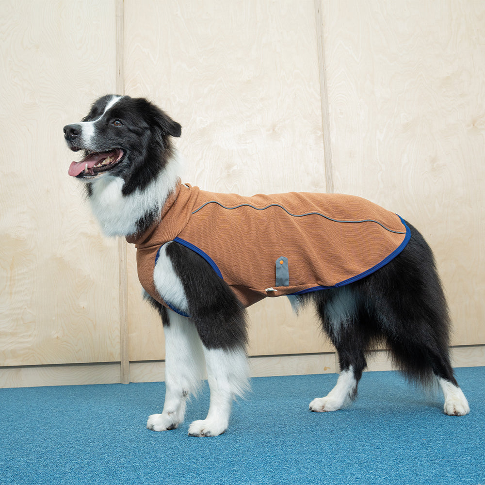 Heat Boost 2 in 1 padding - Pet Winter Jacket